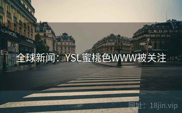 全球新闻：YSL蜜桃色WWW被关注